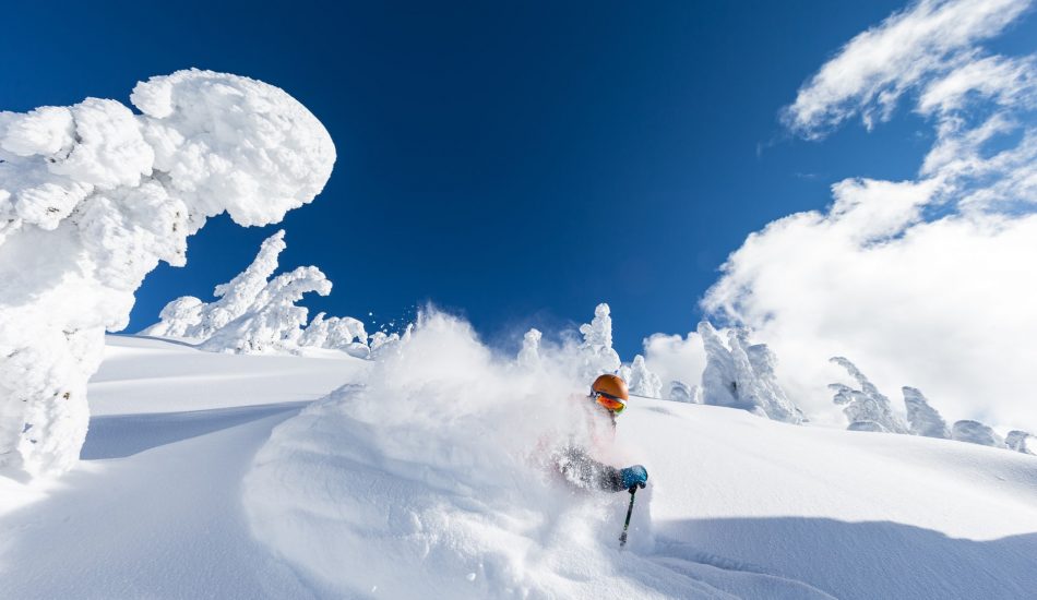 BW Powder Skiing BW Powder Skiing