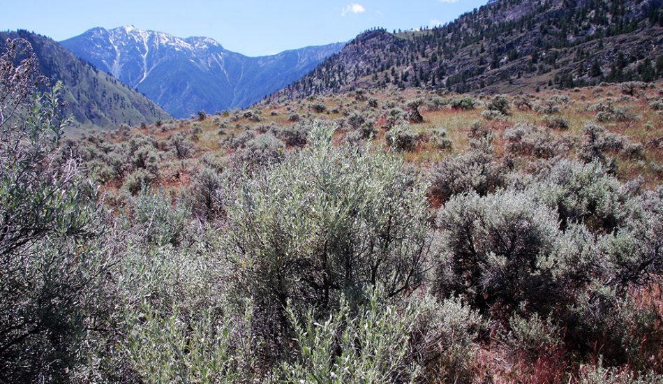 Desert-Tour-gallery-image1 Desert-Tour-gallery-image1