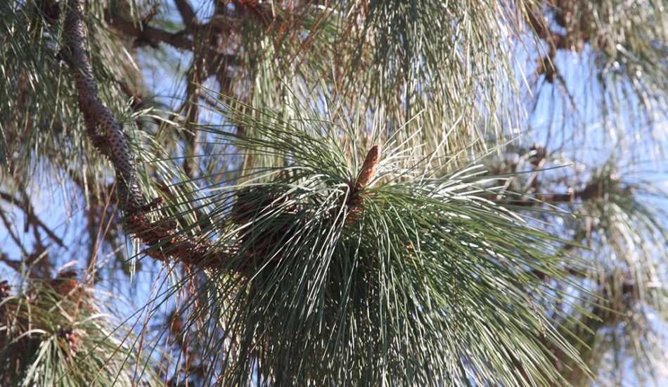 Desert-Tour-gallery-image2 Desert-Tour-gallery-image2