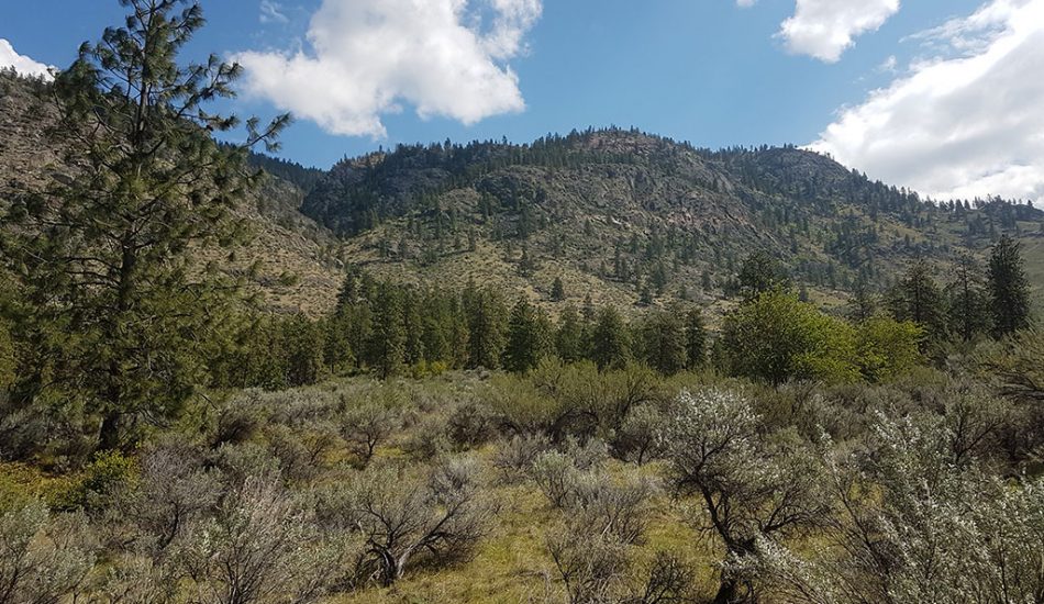 Desert-Tour-gallery-image3 Desert-Tour-gallery-image3