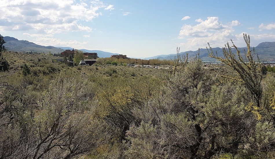 Desert-Tour-gallery-image4 Desert-Tour-gallery-image4