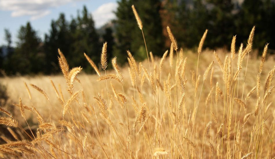 Desert-Tour-gallery-image5 Desert-Tour-gallery-image5