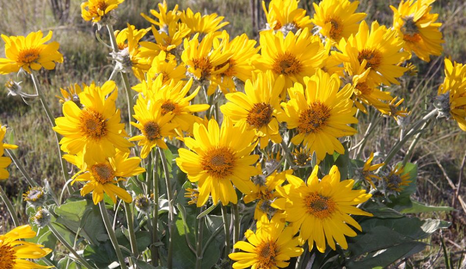 Desert-Tour-gallery-image6 Desert-Tour-gallery-image6