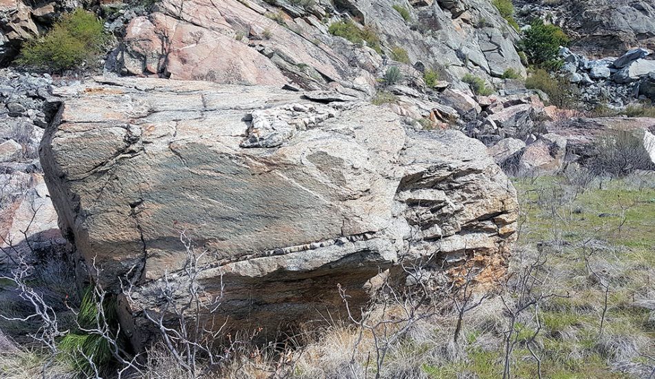 Desert-Tour-gallery-image8 Desert-Tour-gallery-image8