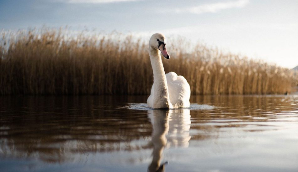 Desert-Tour-gallery-image9 Desert-Tour-gallery-image9