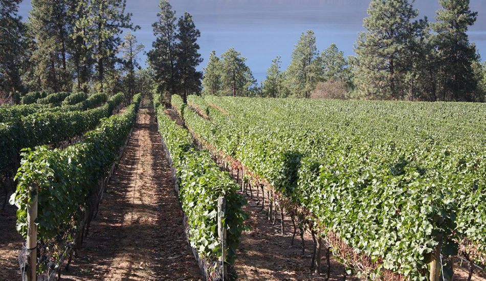 Lake-Country-gallery-image-new8 Lake-Country-gallery-image-new8