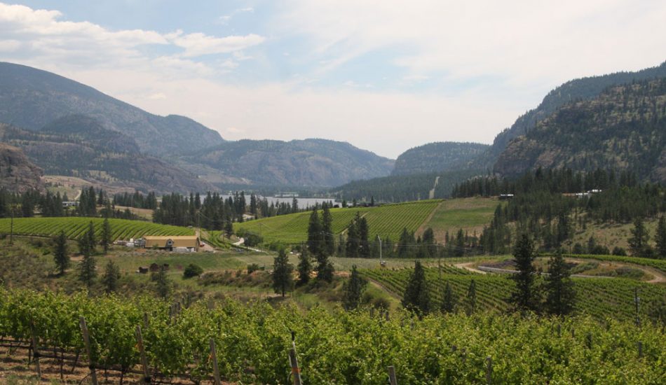 Okanagan-Falls-new-gallery-image3 Okanagan-Falls-new-gallery-image3