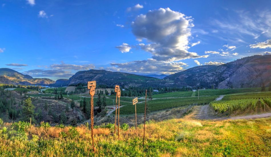 Okanagan-Falls-new-gallery-image4 Okanagan-Falls-new-gallery-image4