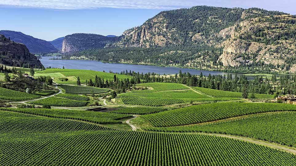 Contact Us Sagebrush Winery & Nature Tours Okanagan