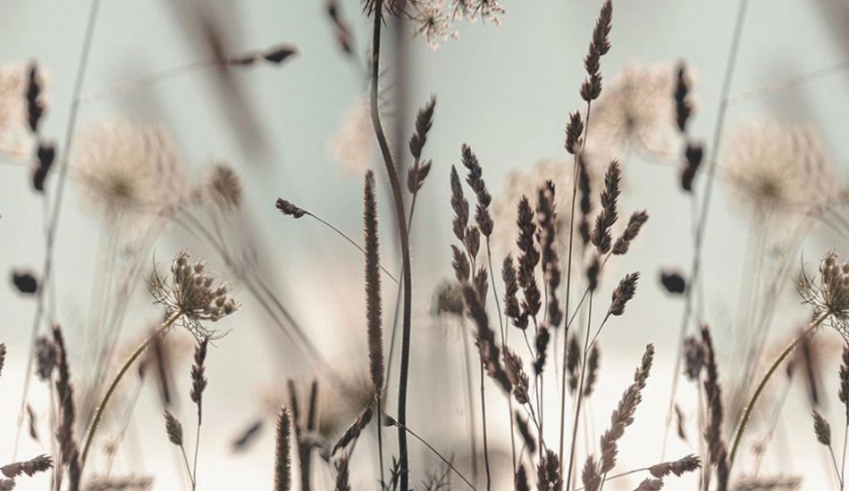 Okanagan-Valley-gallery-image1 Okanagan-Valley-gallery-image1