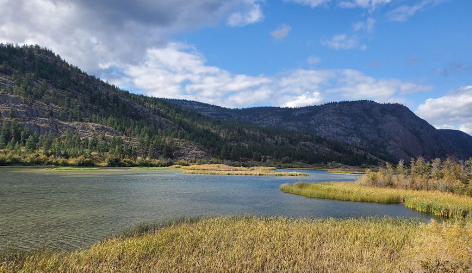 Vaseux-Lake-gallery-image5 Vaseux-Lake-gallery-image5