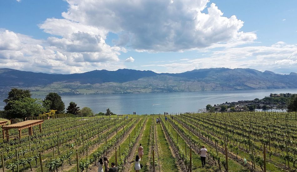 West-Kelowna-image-gallery-new8 West-Kelowna-image-gallery-new8