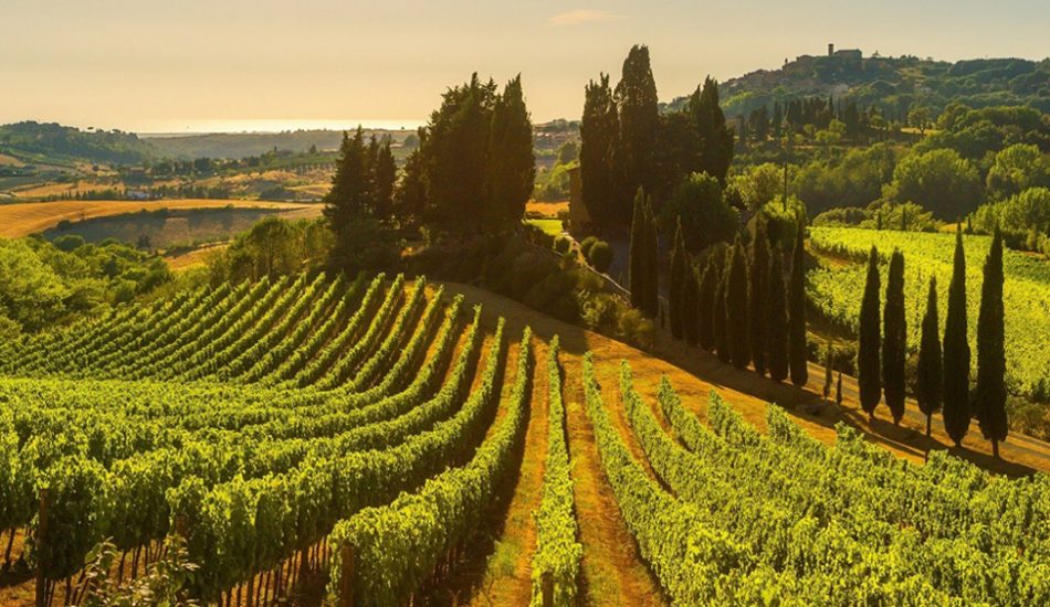 example hero example hero