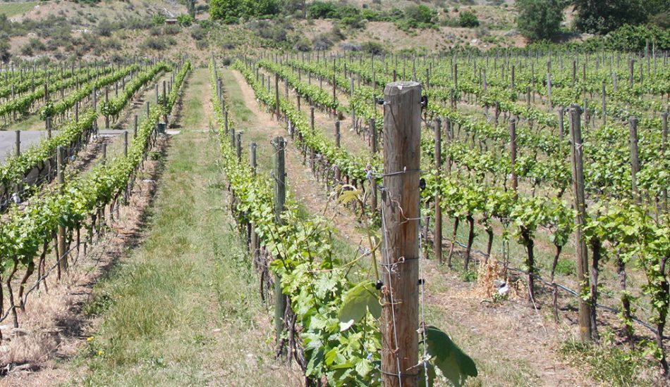 golden-mile-gallery-image-new18 golden-mile-gallery-image-new18