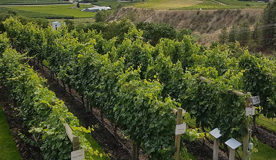 golden-mile-gallery-image-new19 golden-mile-gallery-image-new19