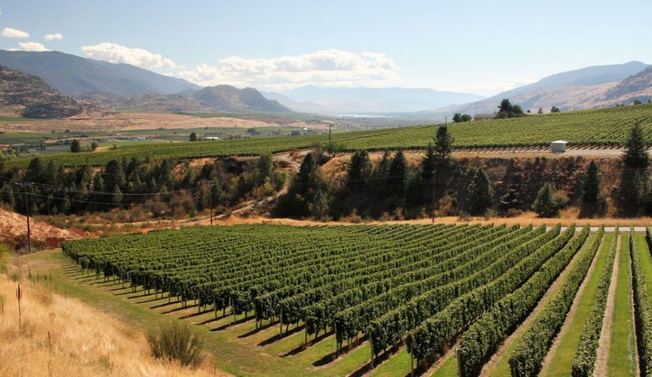 golden-mile-gallery-image-new6 golden-mile-gallery-image-new6