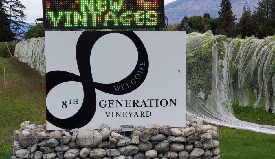 summerland-new-gallery-image1 summerland-new-gallery-image1