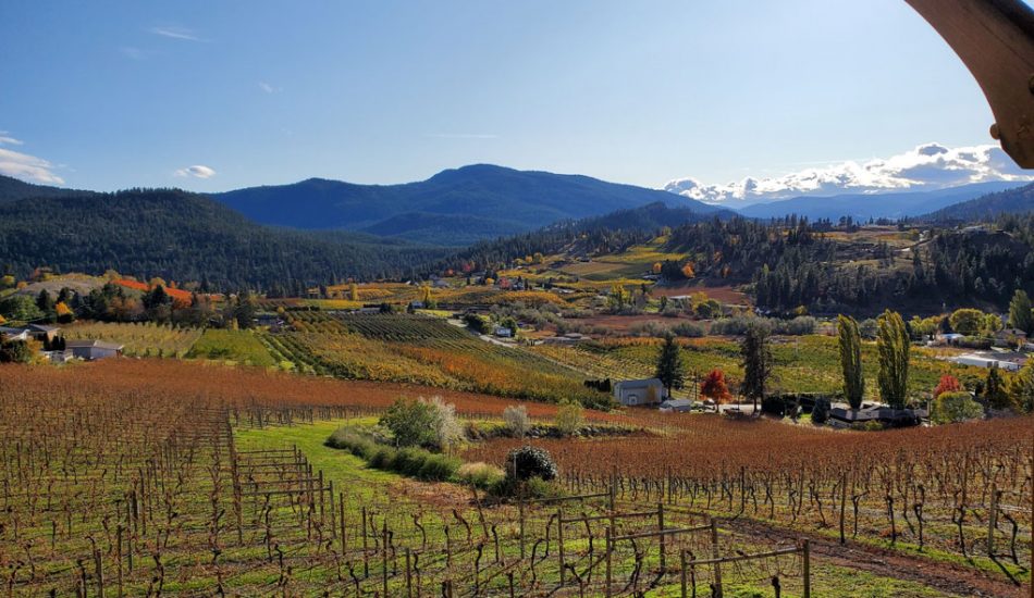 summerland-new-gallery-image12 summerland-new-gallery-image12