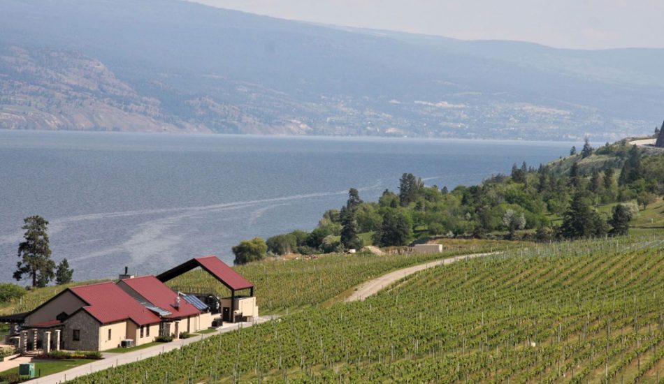 summerland-new-gallery-image2 summerland-new-gallery-image2