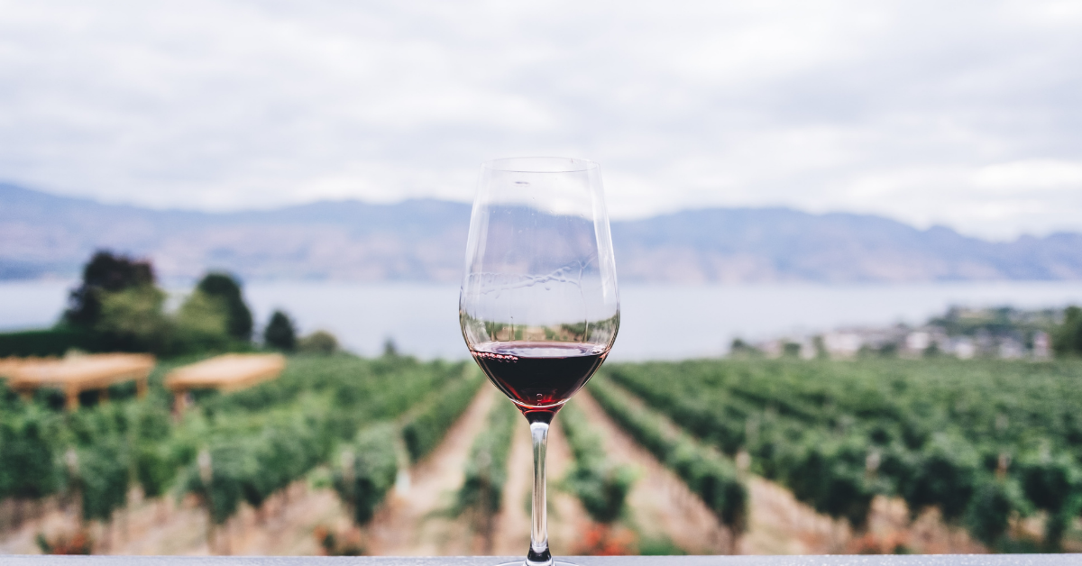 What to Expect on a Kelowna Wine Tour