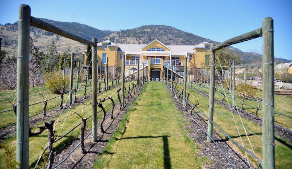 Tinhorn Cr Vineyard_Wineshop VQ2_1445 Tinhorn Cr Vineyard_Wineshop VQ2_1445