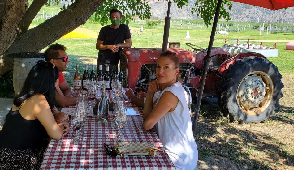 Covert Farm Outdoor Tasting Covert Farm Outdoor Tasting