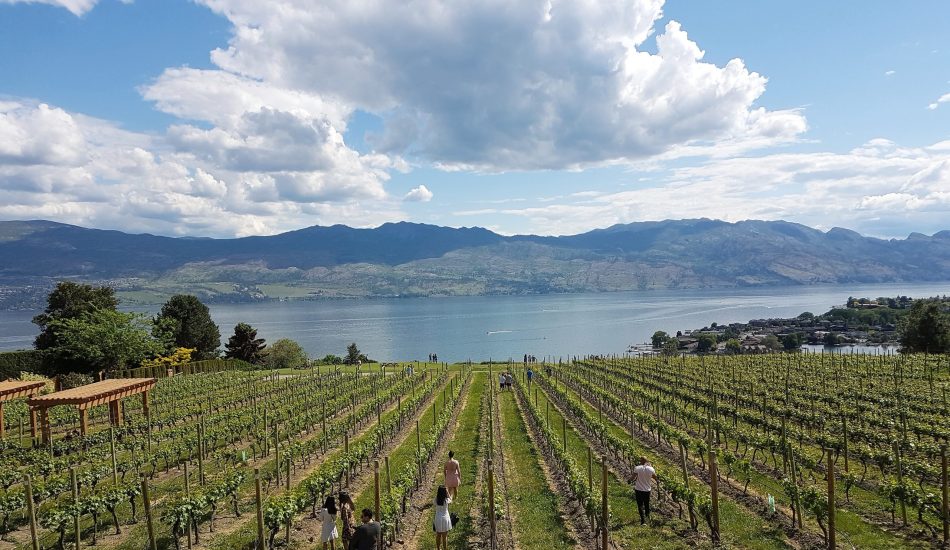 Quails' Gate Balcony View Quails' Gate Balcony View