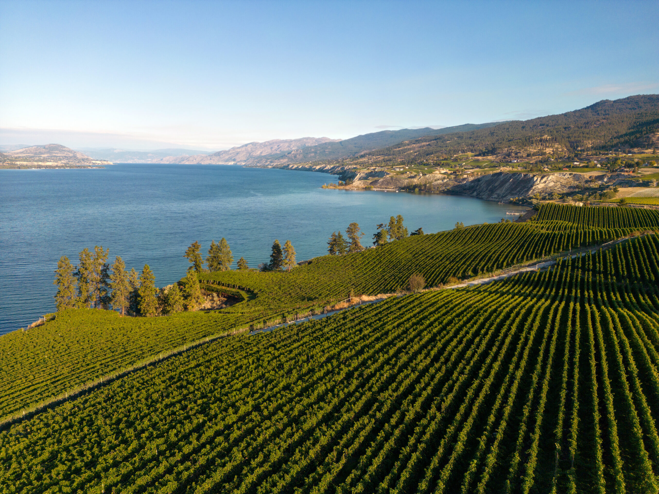 Discovering the Delights of Naramata: A Journey Through Canada’s Tuscany